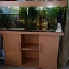 jewel 4ft fish tank