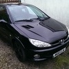 Peugeot 206 GTi 138
