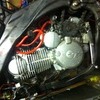 Apollo orion rx 250/ reg as a 125
