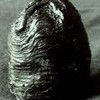 Aliens - Original Film Prop