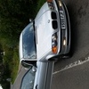 318 (m3 alloys)