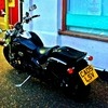 Suzuki Intruder 800 Boulevard  VZ M50
