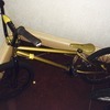 Eastern Bikes Cobra Custom BMX