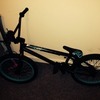Custom BMX for Swaps or Cash