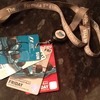 F1 signed memorabilia ( Final week on offer )