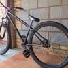 Specialized P1