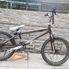Mongoose