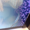 Aligater gars with plec