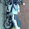 gsxr 600 tnt mint cond swap for car?