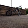 Onza bird trails bike