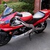 yamaha yzf600 thundercat