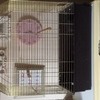 parrot cage