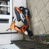 speedfighter offers