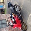 1995cbr600f