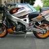 Honda Fireblade Street Fighter