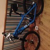 Trek mounting bike