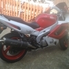 Yamaha yzf600 thundercat