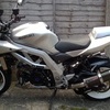 suzuki sv1000 k3