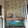 fish tank