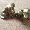 Brass Dogs - Gorgeous!