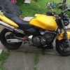 honda hornet 600