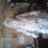 ghilli suit arctic
