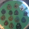 HORSE BRASS COLLECTION