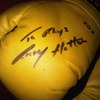 a pair of 6oz boxing gloves