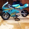 Rizla mini moto