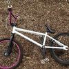 Saracen Amplitude Pressure