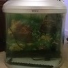80 Litre "Boyu" fishtank