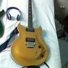 Vox series 55 goldtop