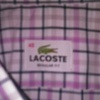 Lacoste shirt (men's)