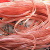 Speaker wire