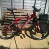 carrera centos hard tail adult mountain bike