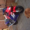 Honda cbr600f 1999 mint