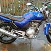 YBR 125 55 PLATE tax and mot