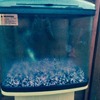 fish tank