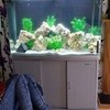 LARGE FISHTANK / tropical / cols / marine