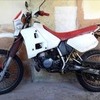 Dt 125r