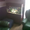 3FT FISH TANK