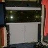 240 ltr 4ft FISH TANK WITH TURTLE AND FISH