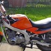 Suzuki gs500e