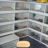 complete reptile room up for grabs