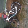 Giant bike like new
