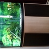 175Lt Fluval Corner Aquarium