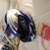 Crash helmet bnib