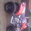 quadzilla 250cc