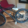 Revell 450r custom dirt jump bike