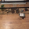 Fish tank